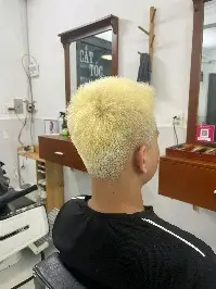 Basic Color