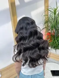 Root Coloring