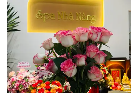 Spa Nhà Nàng
