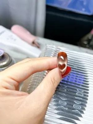 SƠN NHŨ FLASH
