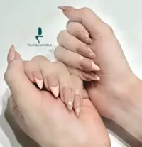 Fen đầu móng , ombre kim tuyến
