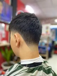Cắt - tạo kiểu - cạo lông mặt