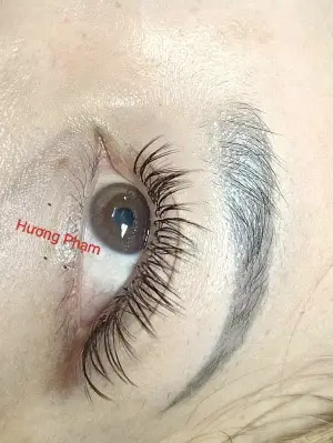 Nối Mi - Huong Pham
