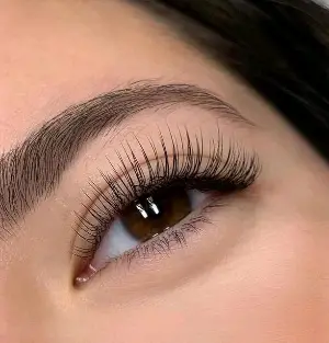Classic Lash Extension