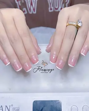 Gel Polish