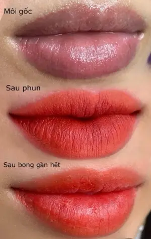PMU Lips Lip Blushing (Regular Ink)