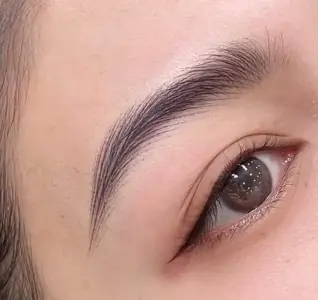 PMU Eyebrows Powder Brows (Organic Ink)