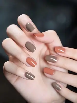 Sơn gel