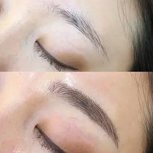 Colour Eyebrow