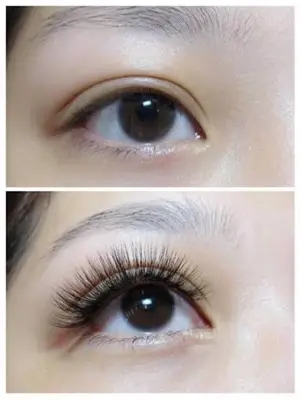 Volume Lash Design – Regular Fiber