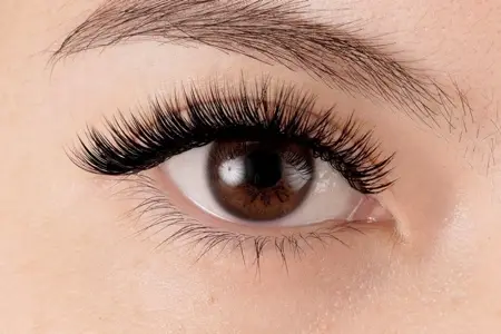 Volume Lash Design – Rabbit Hair