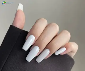 Sơn trắng trơn – Cấp độ cơ bản