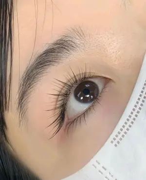 Customized Lashes Black / Brown