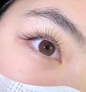 Classic Lash Extensions Black / Brown