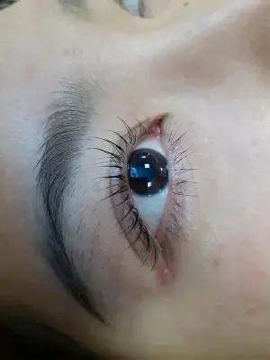 Lash Lift