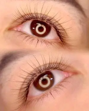Silk Bunny Lashes