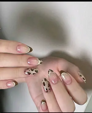 Full Cat Eye Gel Combo