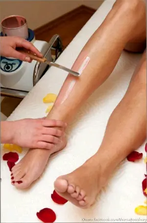 Wax cả chân