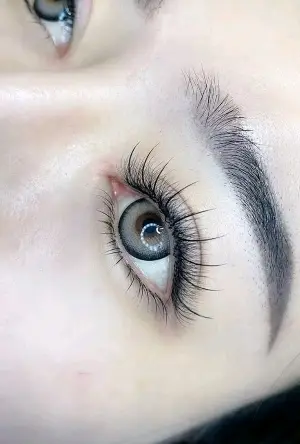 [L] Nối Mi Classic Foxeye