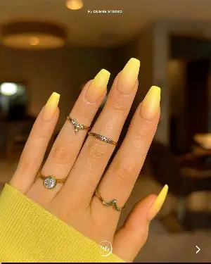 Medium Cat Claws (>20mm)