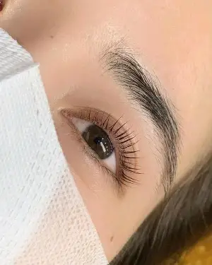 Uốn Mi Lady TK