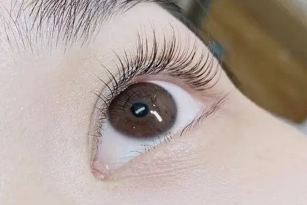 [M] Nối Mi Classic Tự Nhiên