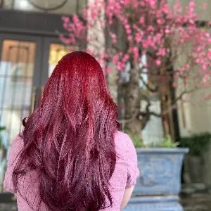 Cut + Color