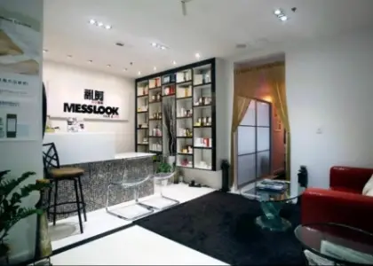 MESSLOOK HAIRSALON