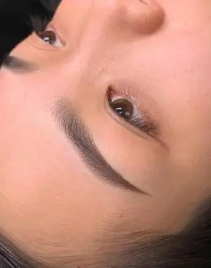 Eyebrow Start Hair Stroke + Shading Tail