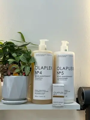 gội xả olaplex
