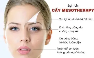 Meso Injection