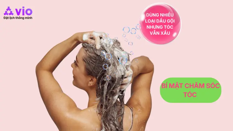 Vì Sao Đổi 10 Loại Dầu Gội Tóc Vẫn Xấu? Bí Mật Chăm Sóc Tóc