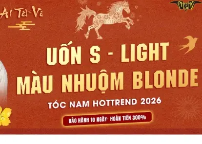 Phong BvB Phú Mỹ