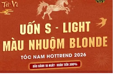 Phong BVB 215 Nguyễn Ngọc Vũ