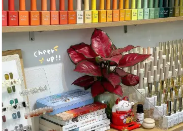 Cỏ Nail